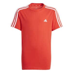 b 3s t vivred/white