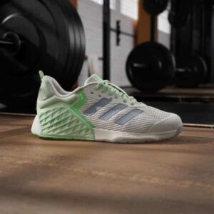 dropset 3 trainer w halsil/segrsp/limbur