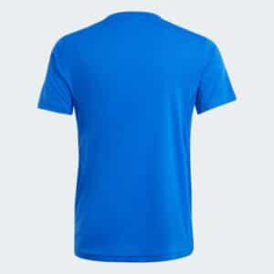 j team tee royblu/white