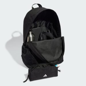 clsc pcase bp
